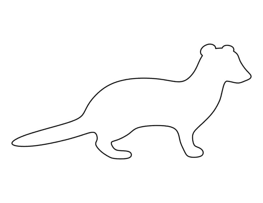 Weasel Coloring Pages Pdf Free Vectors