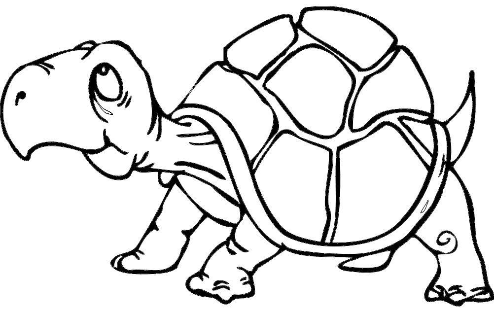 Turtle Free DXF File Free Vectors