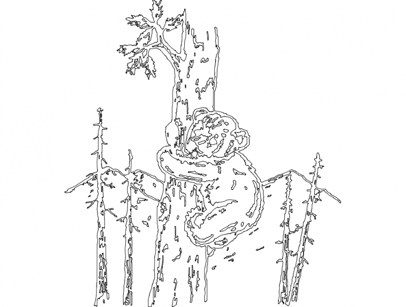 Cub In Tree Free DXF File Free Vectors