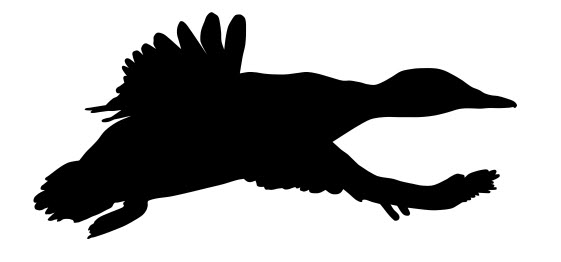 Mallard Ducks Running Free DXF File Free Vectors