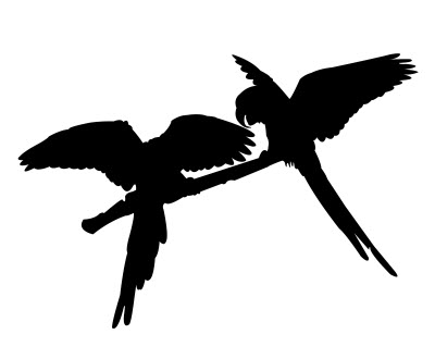 Parrot Pair Silhouette Free DXF File Free Vectors