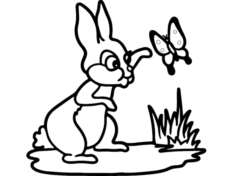 Rabbit And Butterfly Free Dxf File Free Vectors