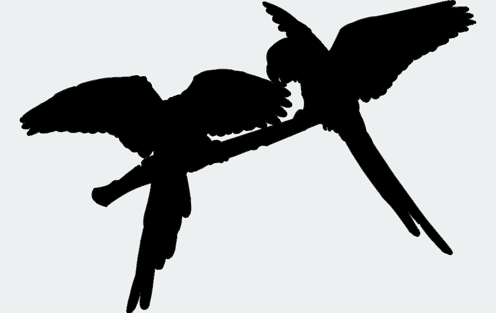 Parrot Pair One Free DXF File Free Vectors
