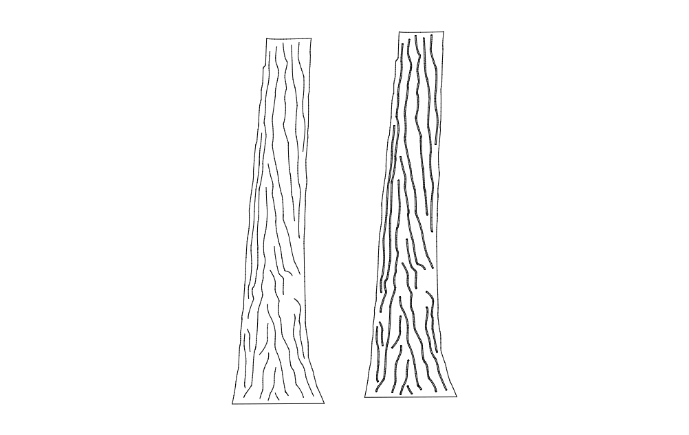 Tree Trunk Free DXF File Free Vectors