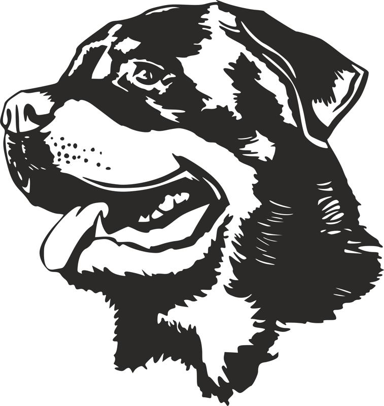 Rottweiler Dog Head Black White Vector Free DXF File Free Vectors